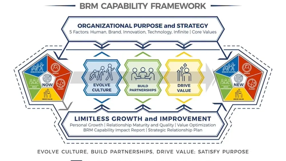 BRM Capability Framework Diagram